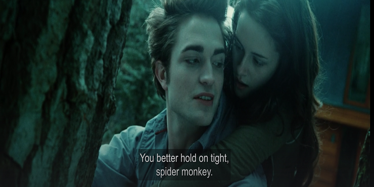 Twilight Everything You Missed If You Never Watched The Extended Edition